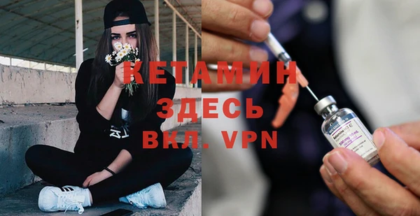 мет Алексин