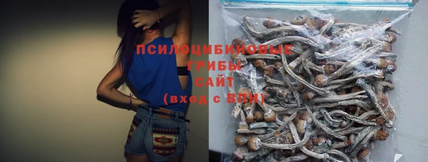 мет Алексин