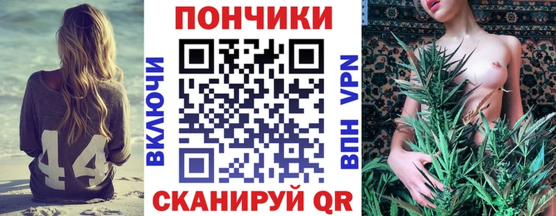 Конопля конопля Тосно